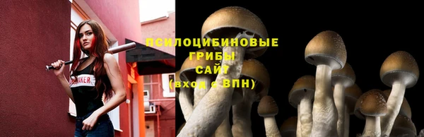 прущая мука Арсеньев