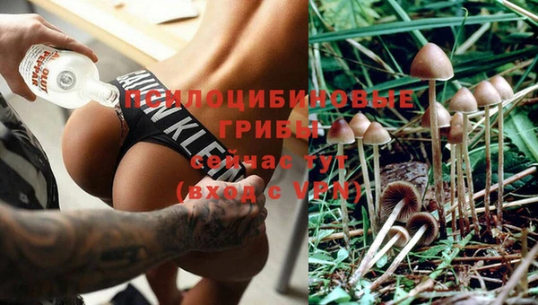 прущая мука Арсеньев