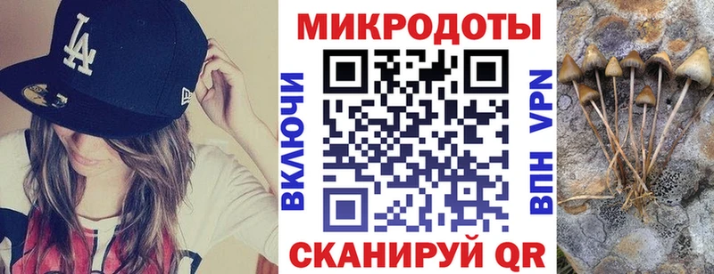 kraken ONION Старый Крым Псилоцибиновые грибы GOLDEN TEACHER
